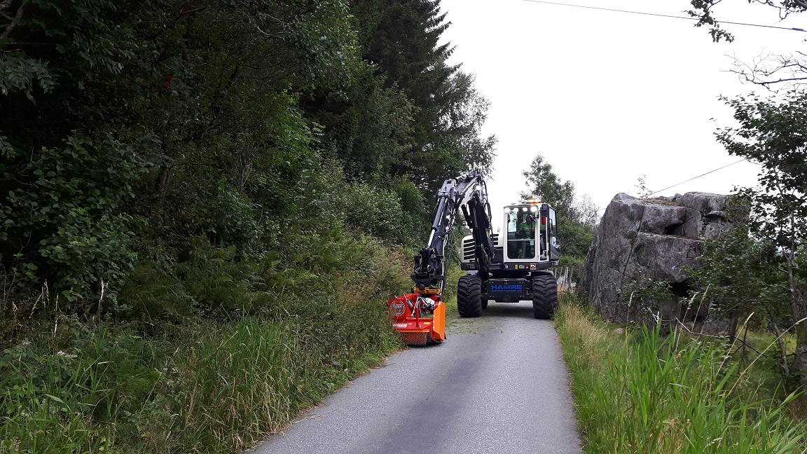 Kantslått